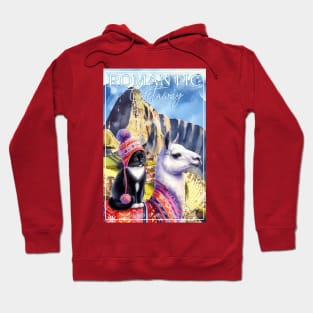 Romantic Andes Getaway Cat Tuxedo Life 3CT Hoodie